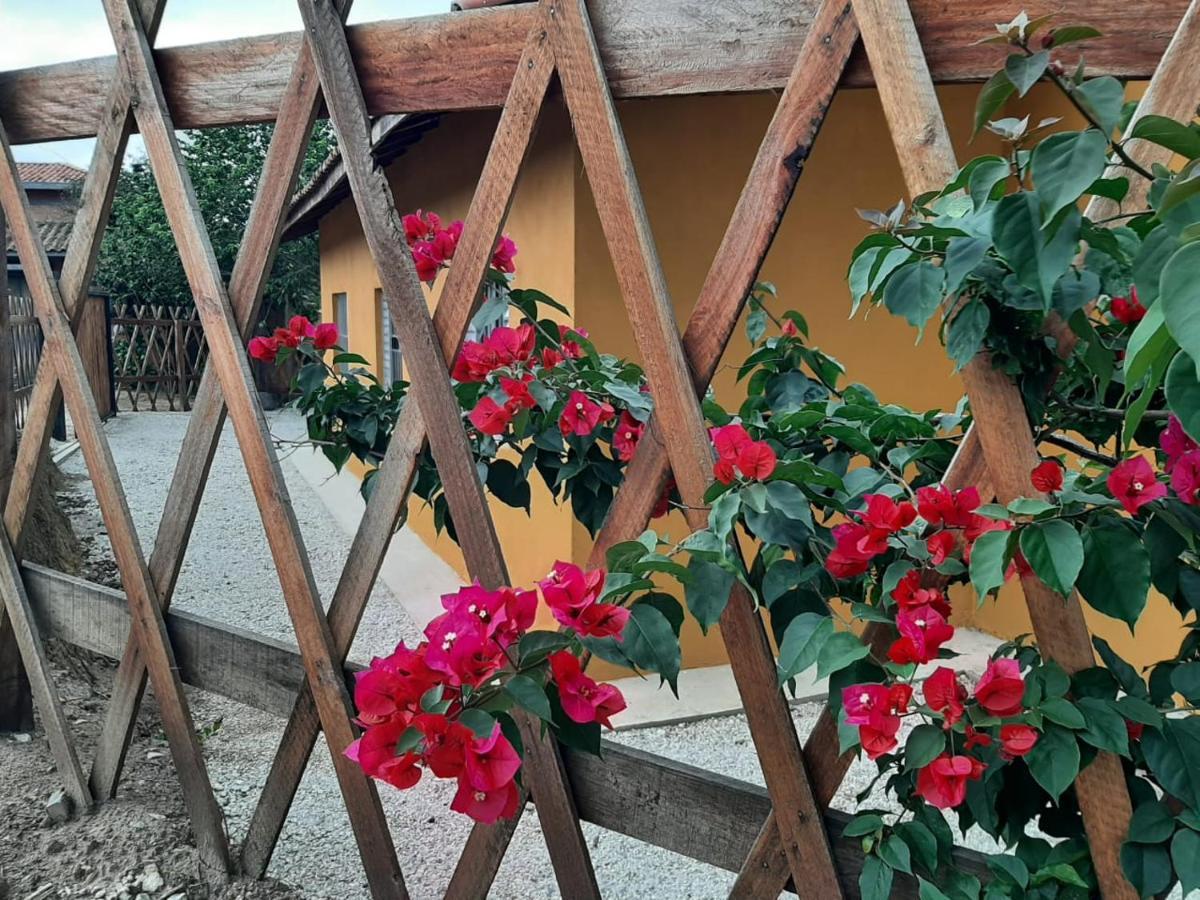 Casa Kiiro, Um Ambiente Tranquilo E De Sossego. Villa Santo Antonio do Pinhal Luaran gambar